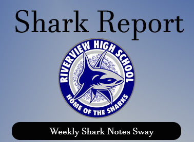  Weekly Shark Notes Sway